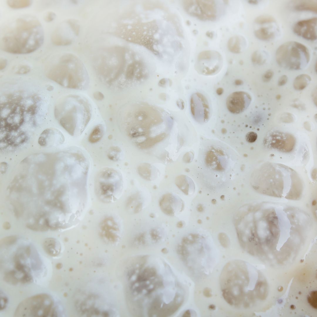 Yeast Experiment for Kids