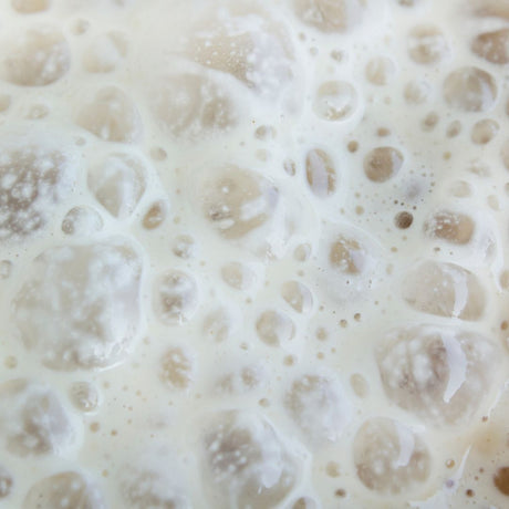 Yeast Experiment for Kids