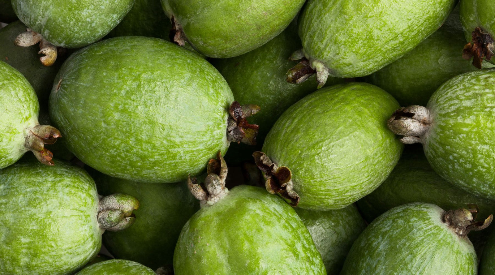 Feijoa Chutney