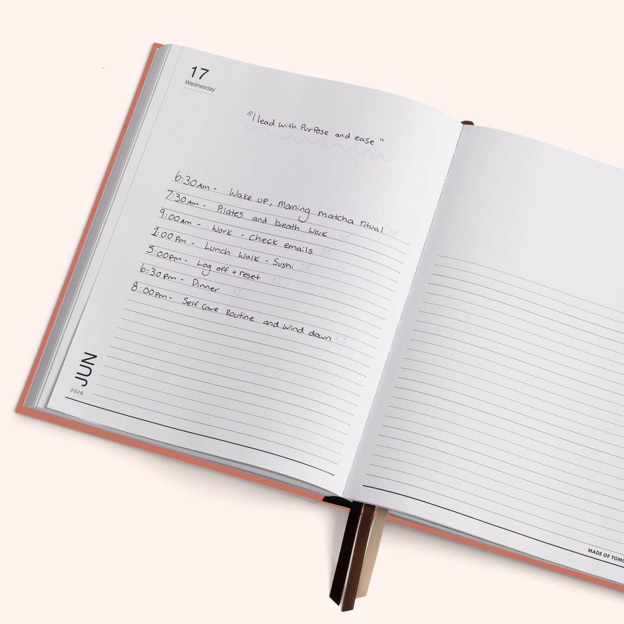 Made of Tomorrow Daily Planner 2026 Sorbet