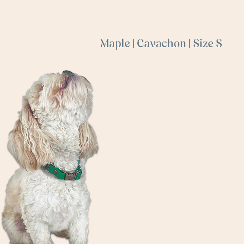 Vienna Collar Teal Small