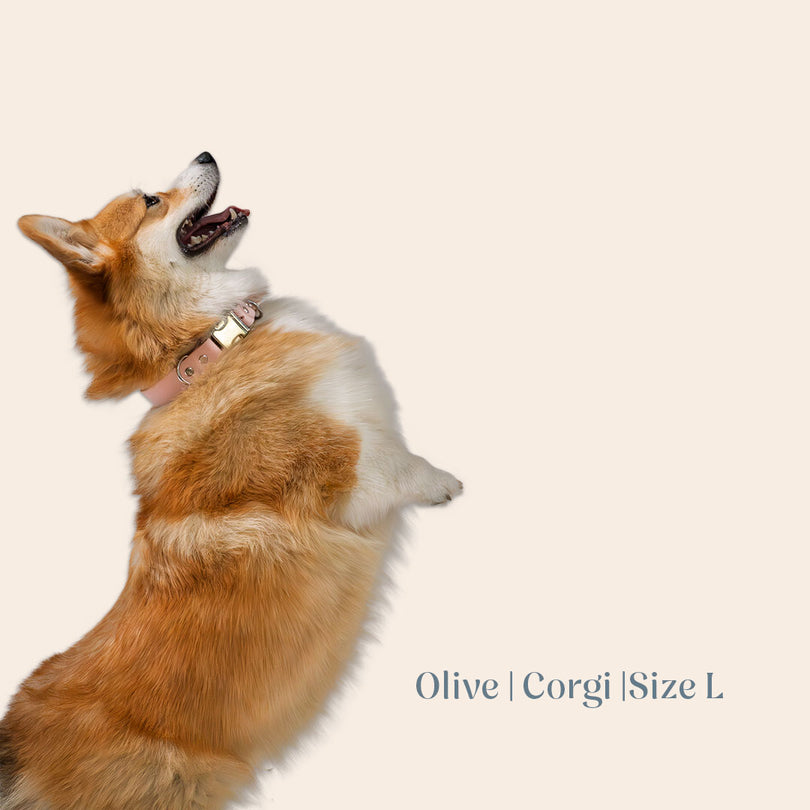 Vienna Collar Pink Large