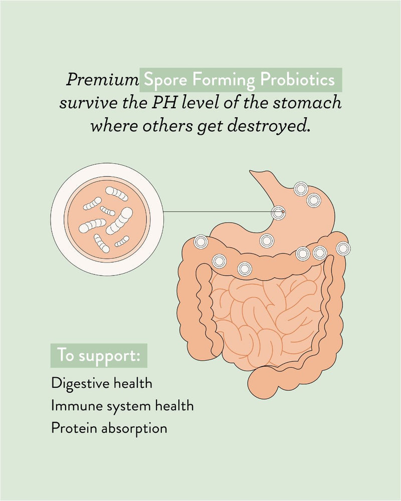 Super Greens + Reds 150g