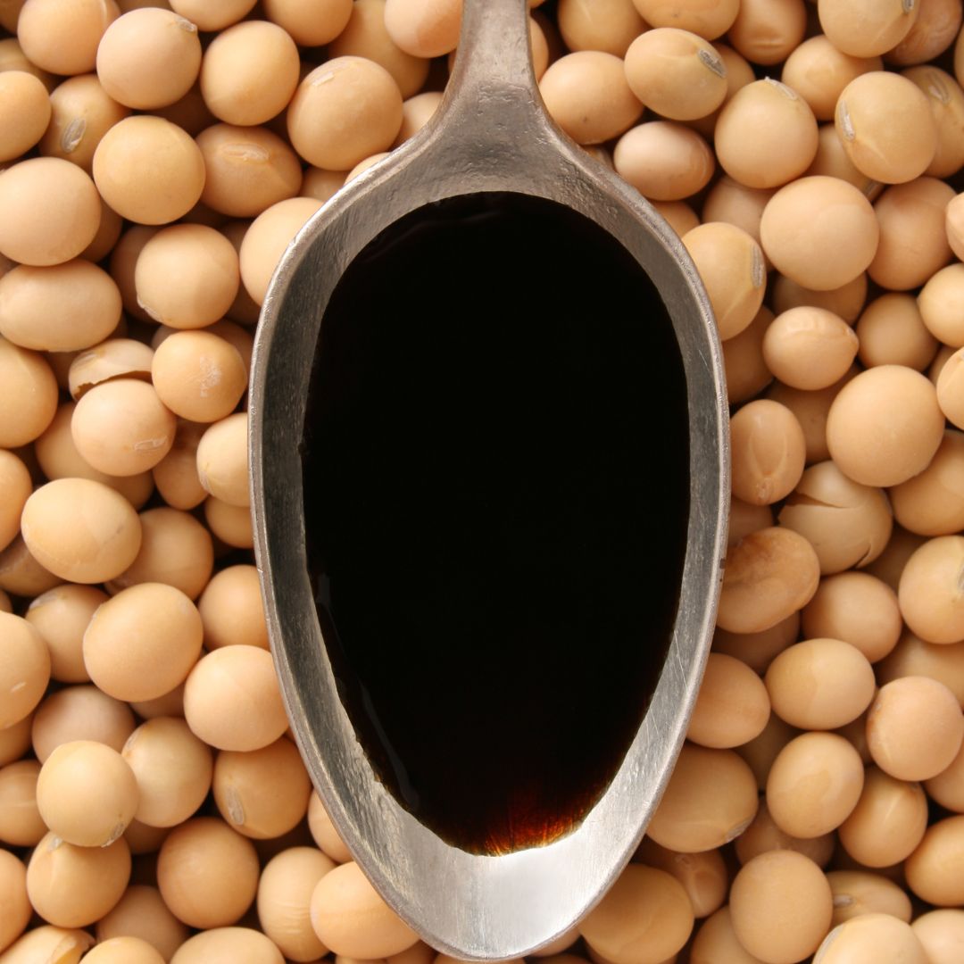 Organic Soy Sauce Tamari