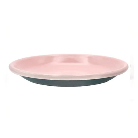 Enamel Pasta Plate - Green & Pink 20cm