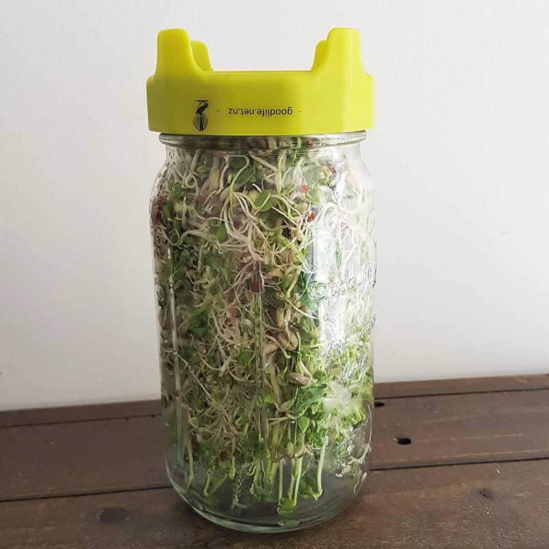 Sprouting Jar Kit