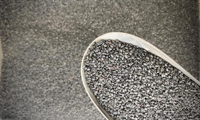 Black Sesame Seeds