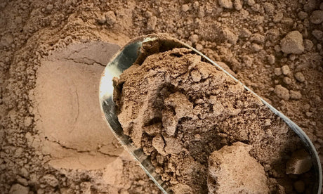 Cocoa Powder - Alkalized (Dutched) - Refill Nation