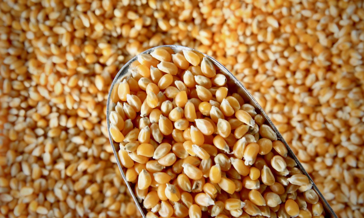 Organic Popping Corn - Refill Nation