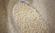 Organic Quinoa - Refill Nation