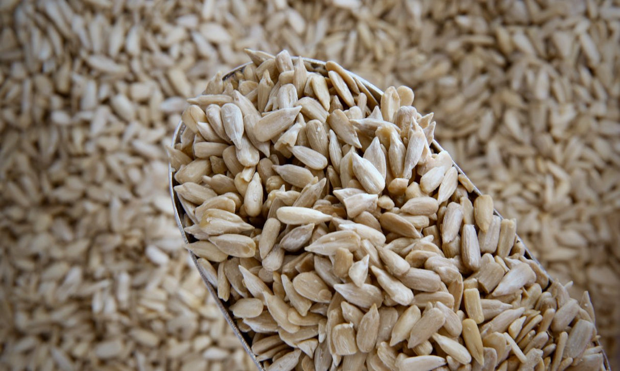 Sunflower Seeds - Refill Nation