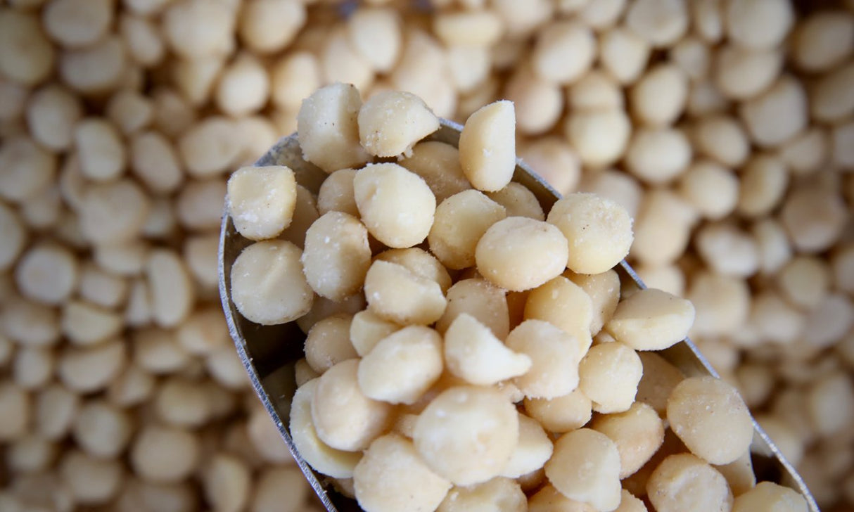 Macadamias, Roasted & Salted - Refill Nation