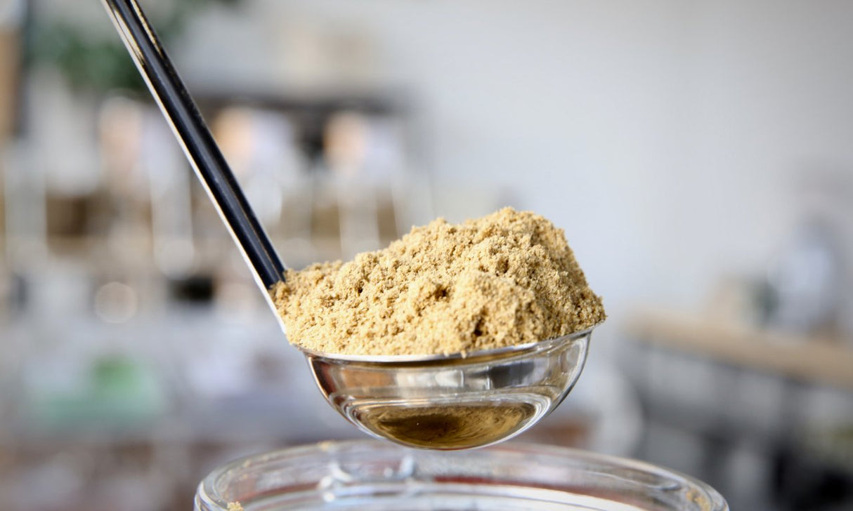 Coriander Ground - Refill Nation