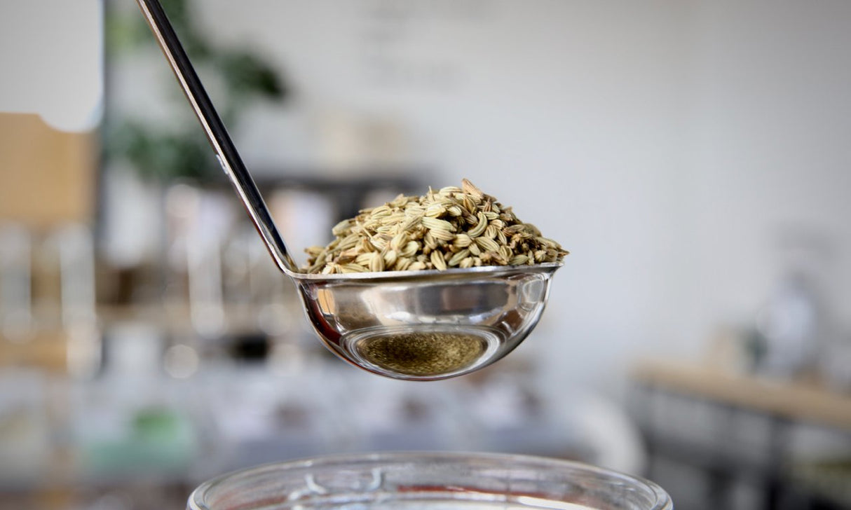 Fennel Seeds - Refill Nation