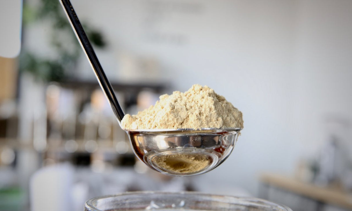 Ginger Ground - Refill Nation