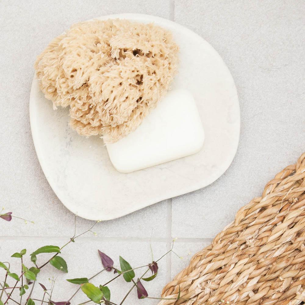 Organic natural body sea sponge - Refill Nation