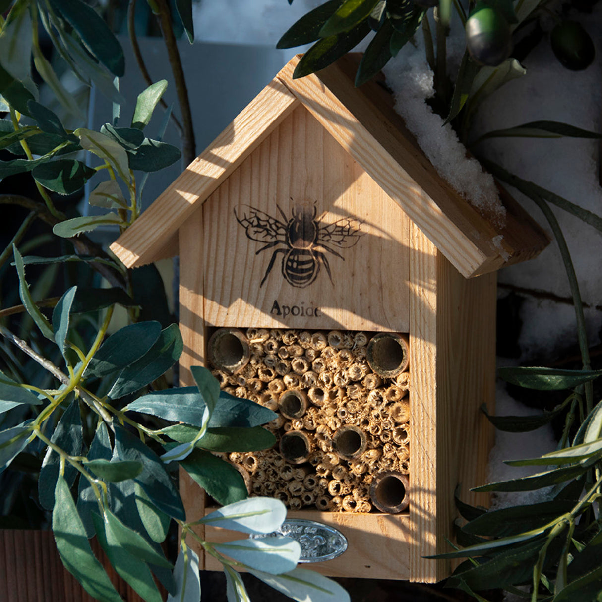 Bee House