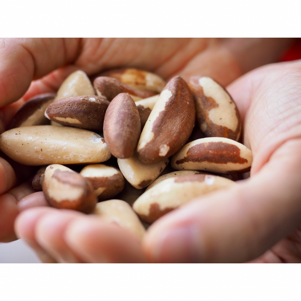We're Nutty for Brazil Nuts!