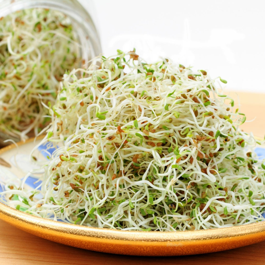 Sprouts made easy