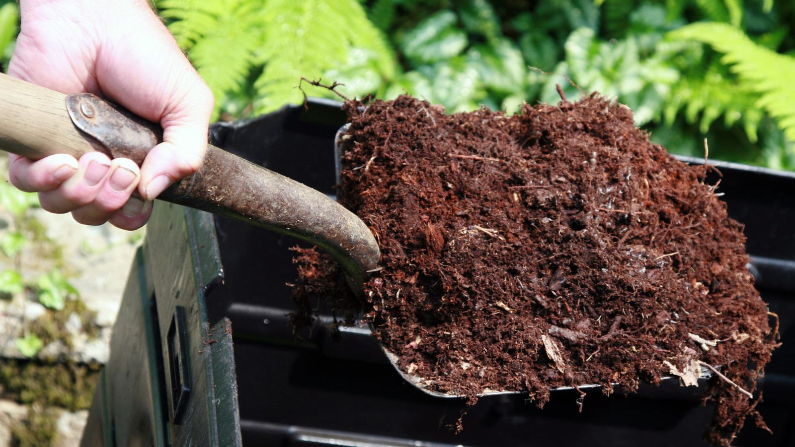 Not all composts are created equal