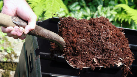 Not all composts are created equal