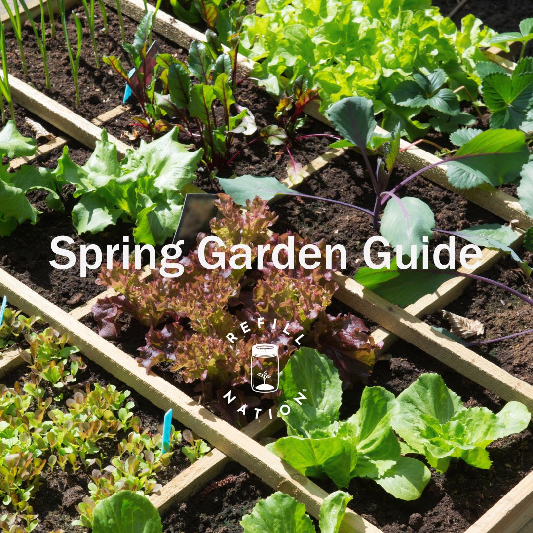 Seasonal Garden Guide: Spring time in Aotearoa – Refill Nation