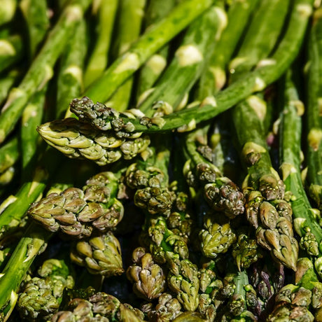 Spring Millet Salad with Cashews and Pesto Dressing