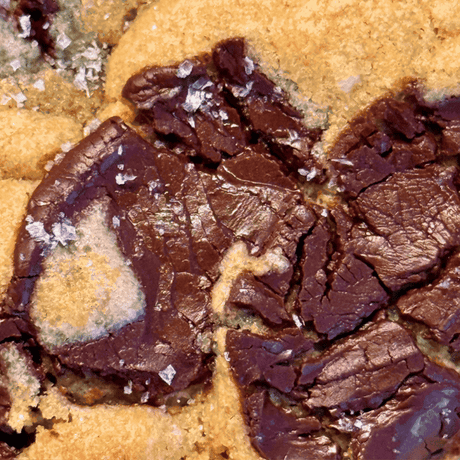 Chewy Dark Chocolate Chip Cookies