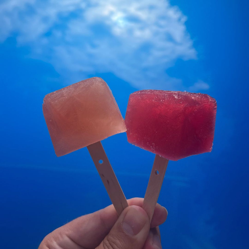 Pips Waste-free Popsicles!