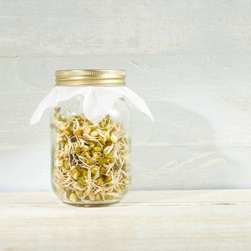 Ediably Sprouts How to Grow Edible Sprouts at Home: A Step-by-Step Guide – Refill Nation