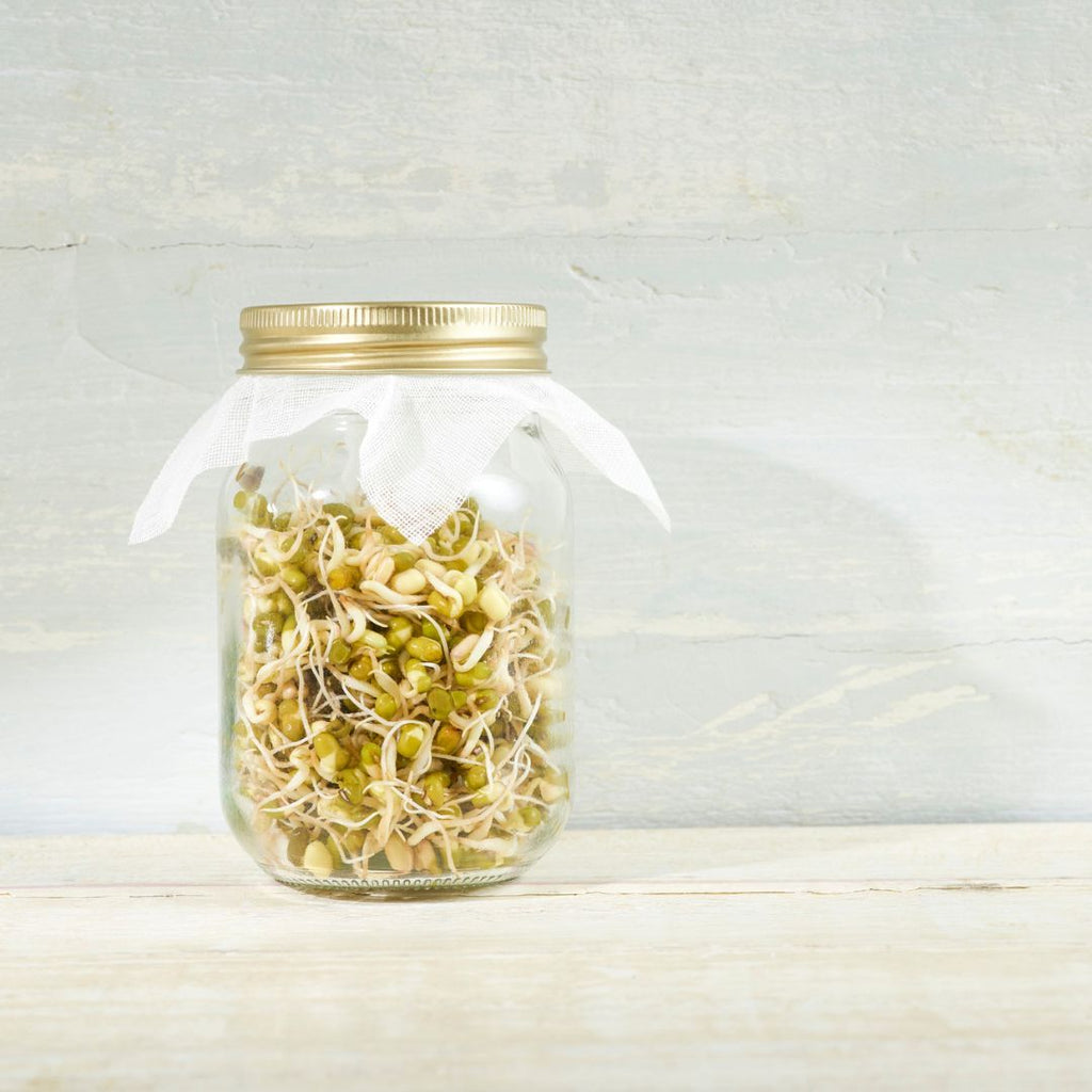 Jar of sprouts that are growing. Seeds sold at a refillery