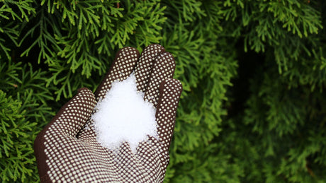 Discover the power of natural Epsom Salt in your spring garden