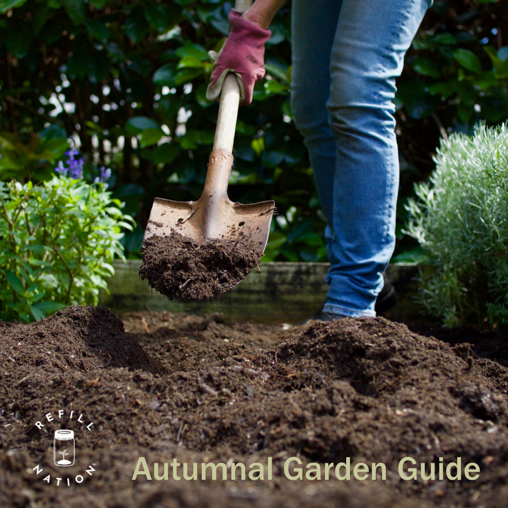 Seasonal Gardening Guide - Autumn