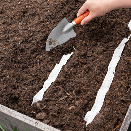 Make Your Own Seed Tape