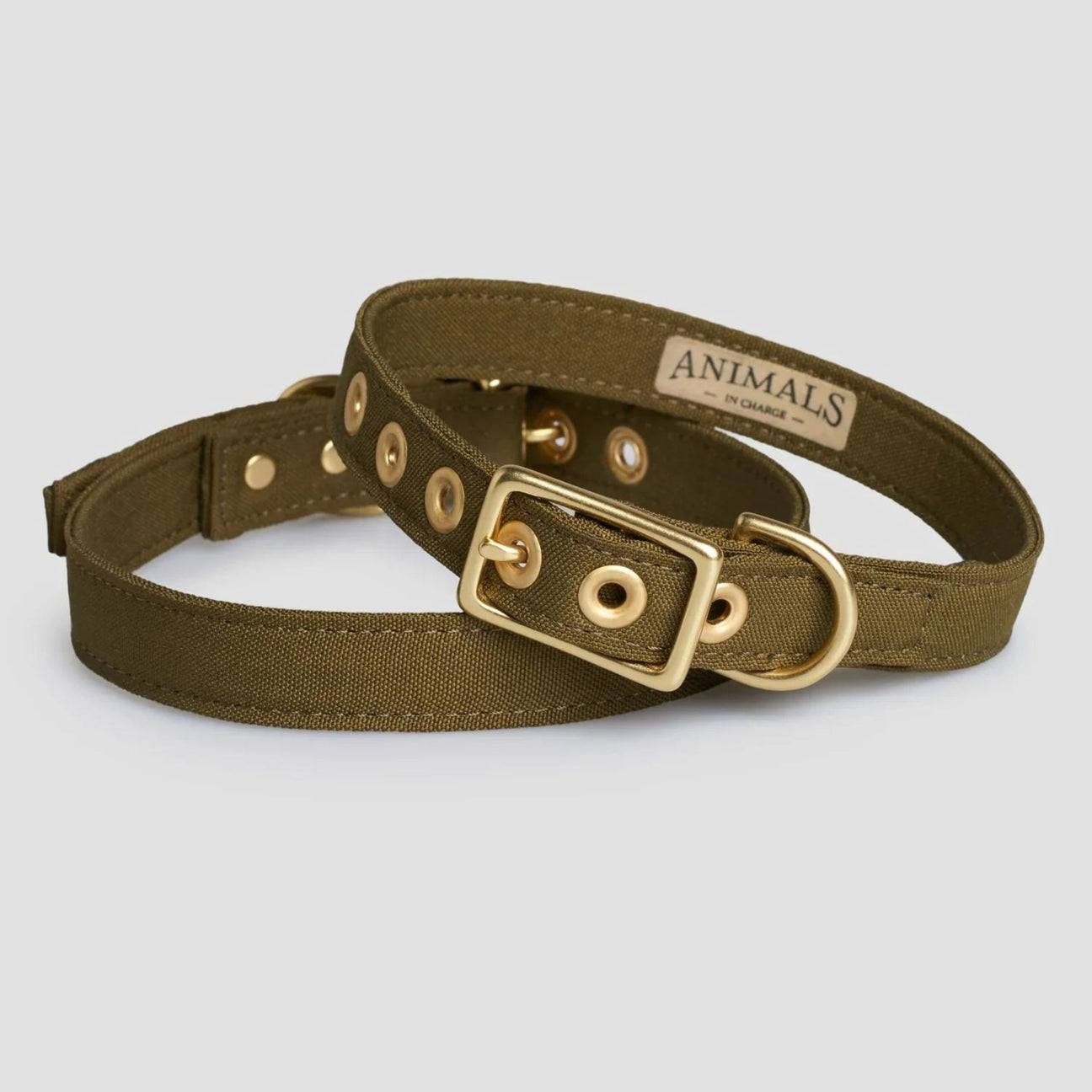Sustainable Pet Supplies