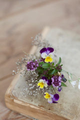 NZ Seed Bombs  Bouquet Blend