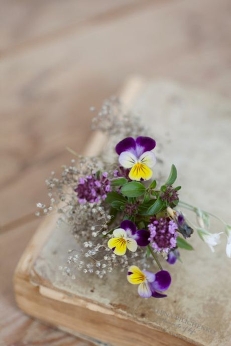 NZ Seed Bombs  Bouquet Blend
