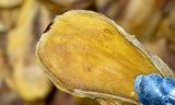 Raw Organic Mango Slices