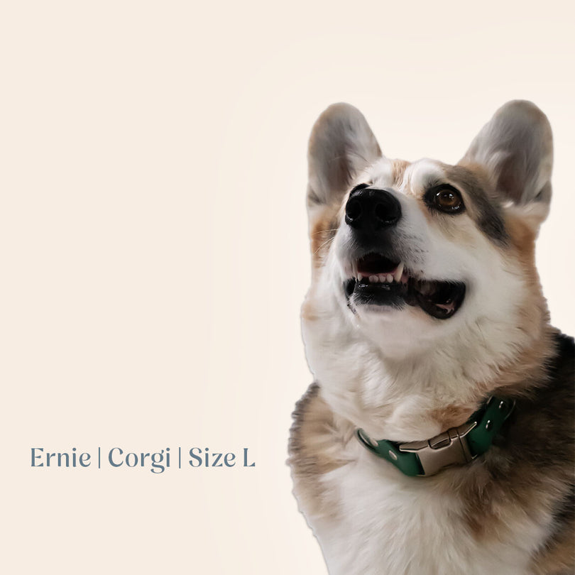 Vienna Collar Teal Large