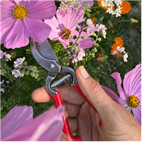 Red Gardening Pruners