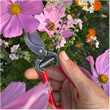 Red Gardening Pruners