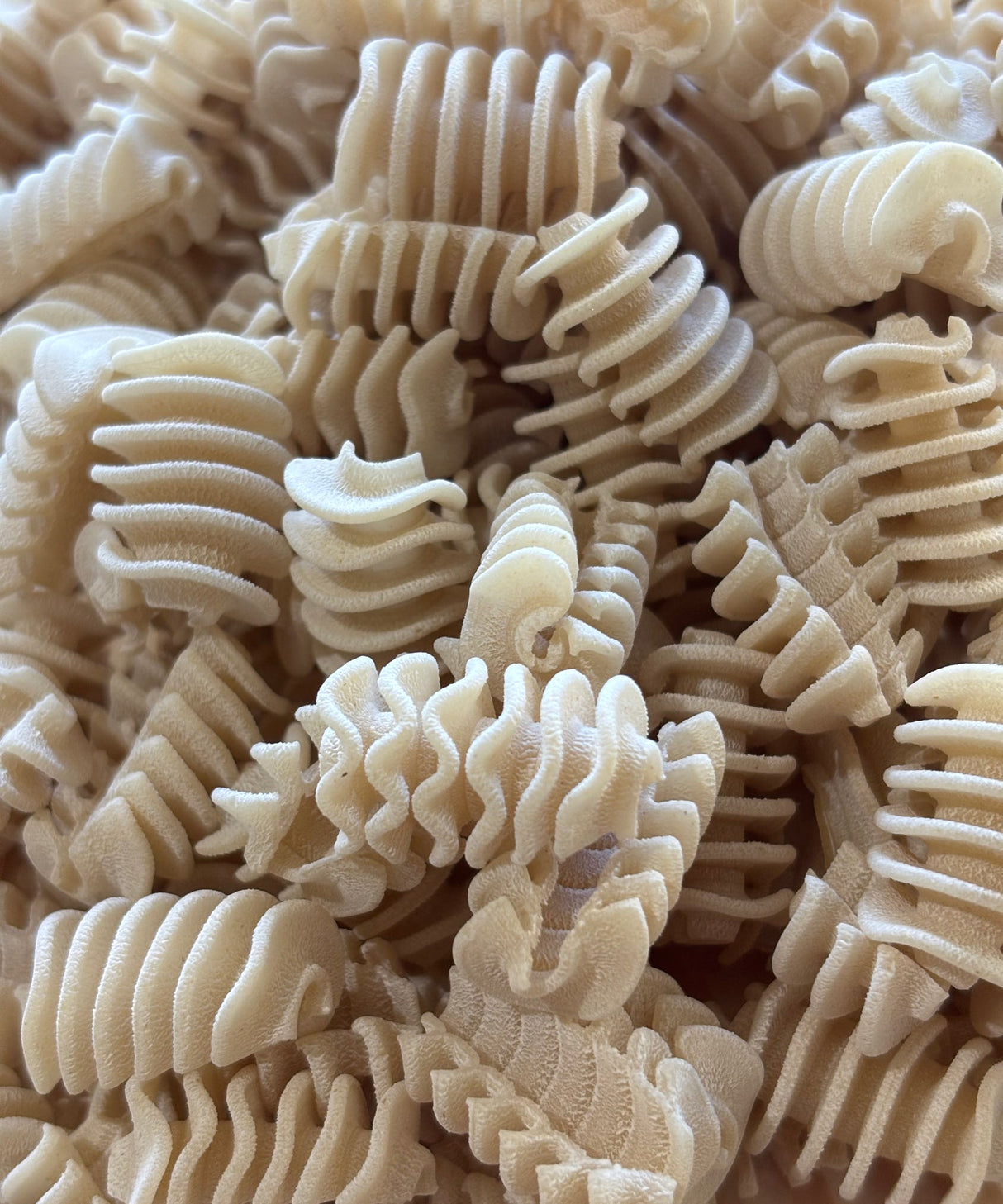 NZ Grown Wheat Radiatori Pasta