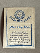 Little Sun Seeds Yellow Indigo Cherry Tomato