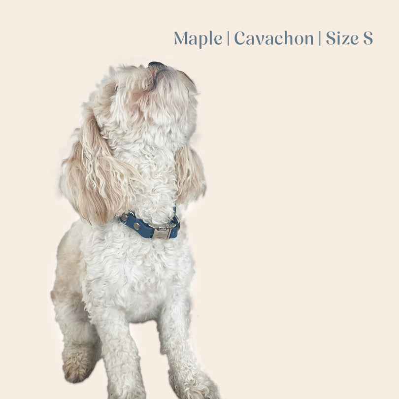 Vienna Collar Blue Small