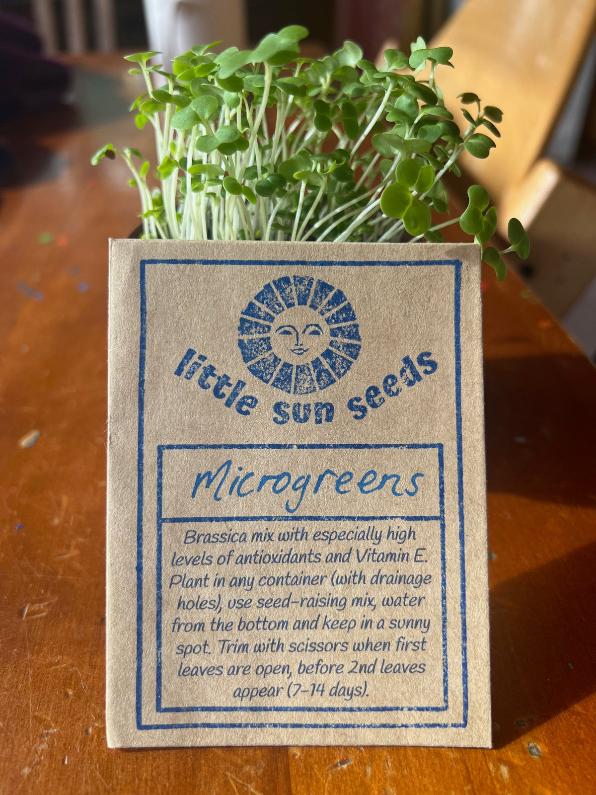 Little Sun Seeds Organic Microgreen