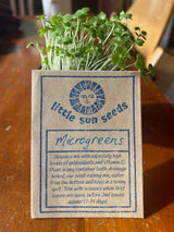 Little Sun Seeds Organic Microgreen