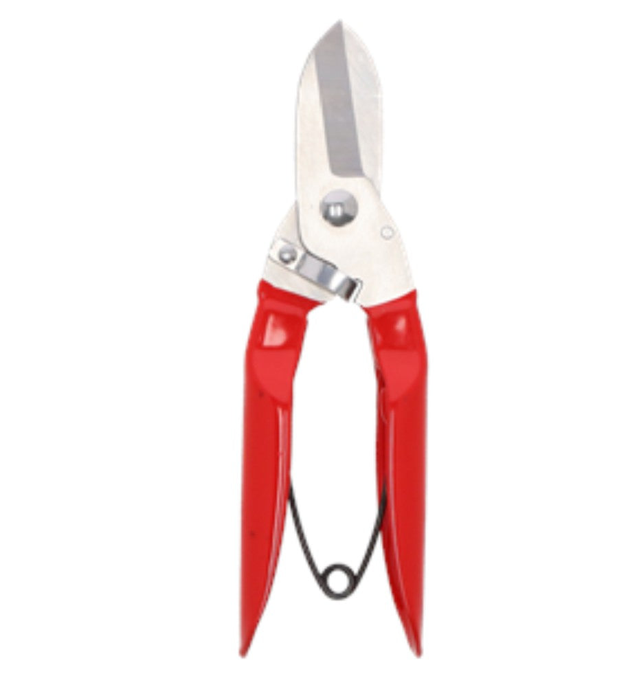 Branch Pruner Stainless Steel