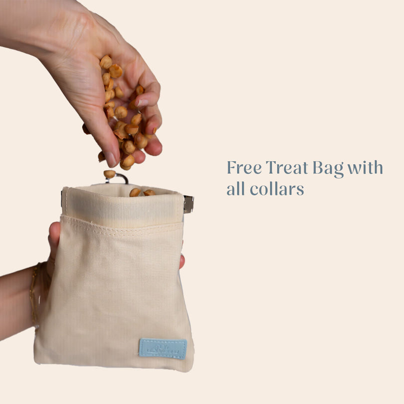 Vienna Collar Teal Large