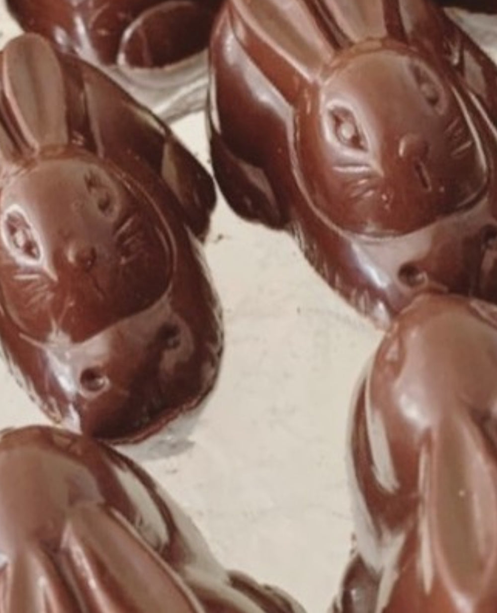 Vegan Gooey Chocolate Bunny