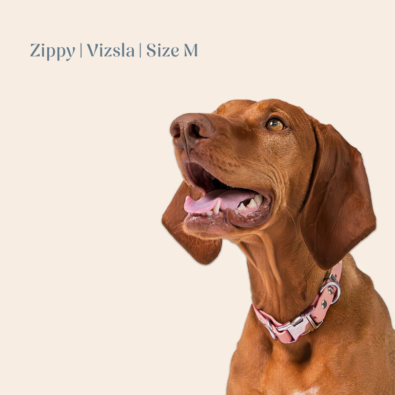 Vienna Collar Pink Medium